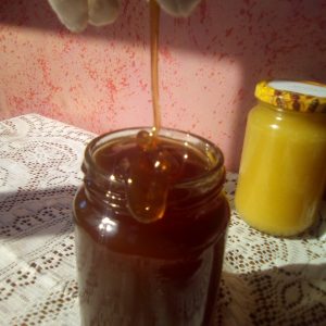 العسل الجبلي