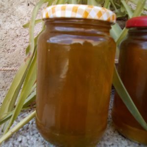 عسل الشوكيات